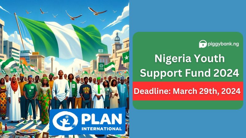 Nigeria Youth Support Fund