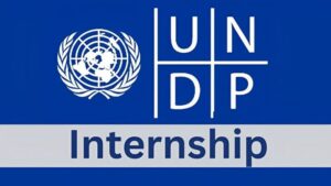 undp-internship